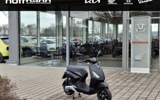 Neufahrzeug Piaggio 1 + - Bild 1