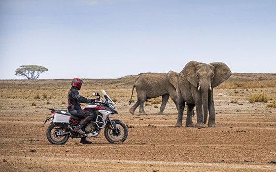 Neufahrzeug Ducati Multistrada V4 Rally - Bild 8 Neufahrzeug Ducati Multistrada V4 Rally - Bild 8