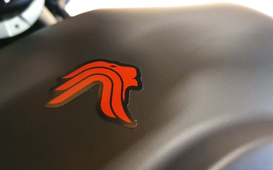 Neufahrzeug Benelli Leoncino 125 - Bild 9
