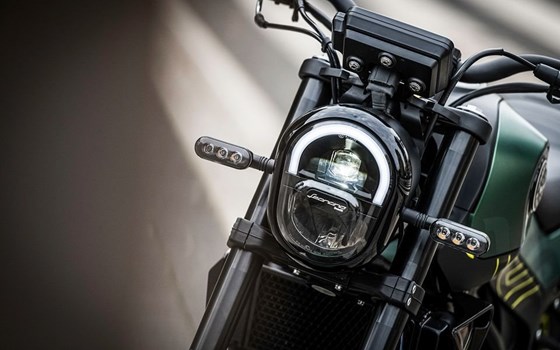 Neufahrzeug Benelli Leoncino 125 - Bild 2