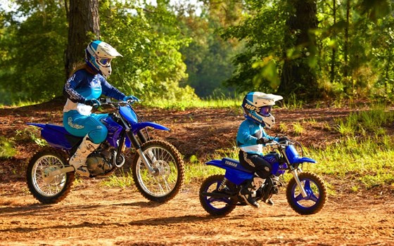 Neufahrzeug Yamaha PW50 - Bild 6