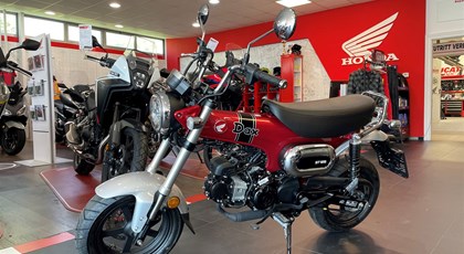Neumotorrad Honda Dax 125