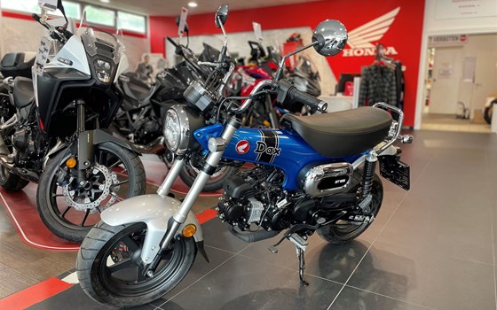 Neufahrzeug Honda Dax 125 - Bild 5 Neufahrzeug Honda Dax 125 - Bild 5
