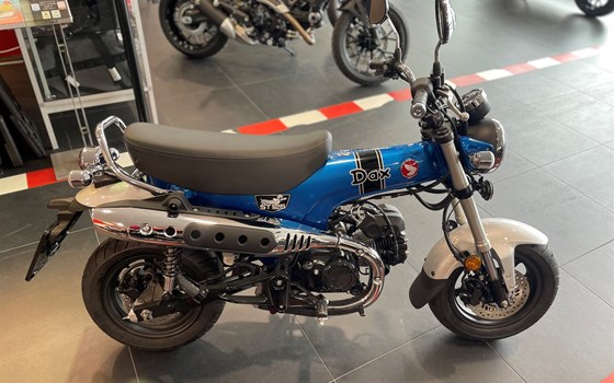 Neufahrzeug Honda Dax 125 - Bild 6 Neufahrzeug Honda Dax 125 - Bild 6