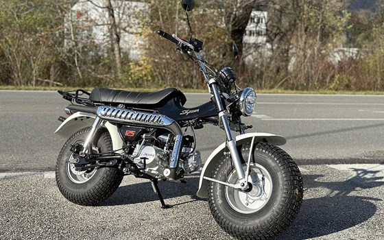 Neufahrzeug Skyteam T-Rex - Bild 1