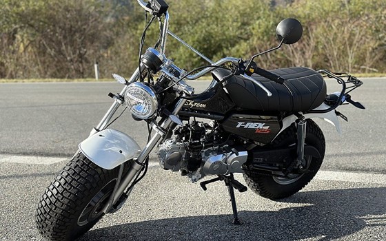 Neufahrzeug Skyteam T-Rex - Bild 2