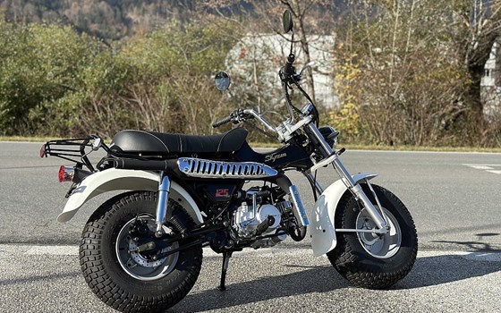 Neufahrzeug Skyteam T-Rex - Bild 3