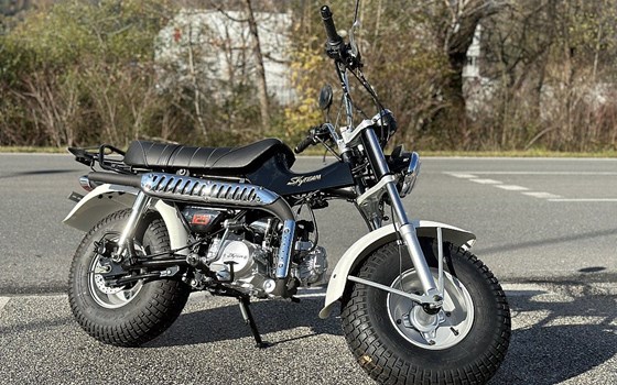 Neufahrzeug Skyteam T-Rex - Bild 4