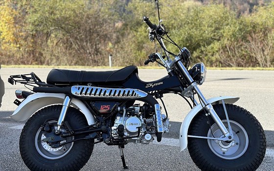 Neufahrzeug Skyteam T-Rex - Bild 5