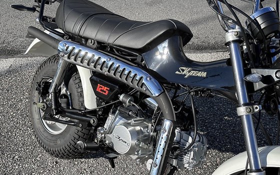 Neufahrzeug Skyteam T-Rex - Bild 8