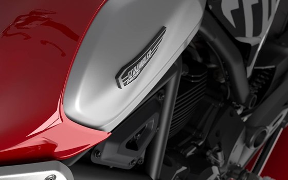 Neufahrzeug Ducati Scrambler Icon - Bild 3