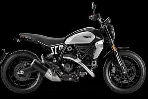 Angebot Ducati Scrambler Icon