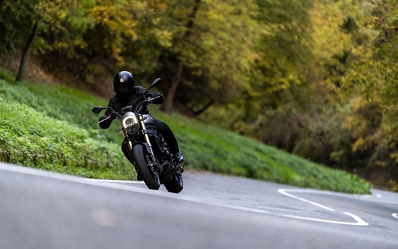 Neufahrzeug Benelli Leoncino 800 - Bild 5