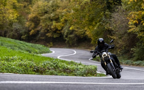 Neufahrzeug Benelli Leoncino 800 - Bild 2