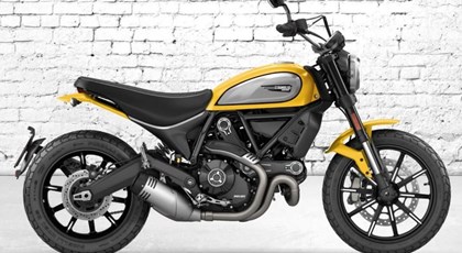 Neumotorrad Ducati Scrambler Icon