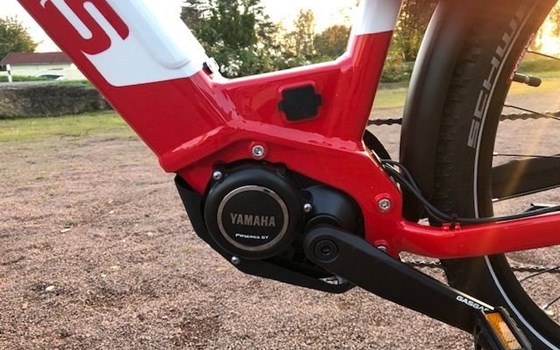 Neufahrzeug GASGAS G Trekking - Bild 4