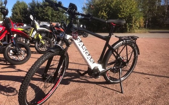 Neufahrzeug GASGAS G Trekking - Bild 10