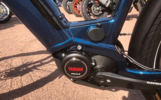 Neufahrzeug Raymon TourRay E - Bild 8