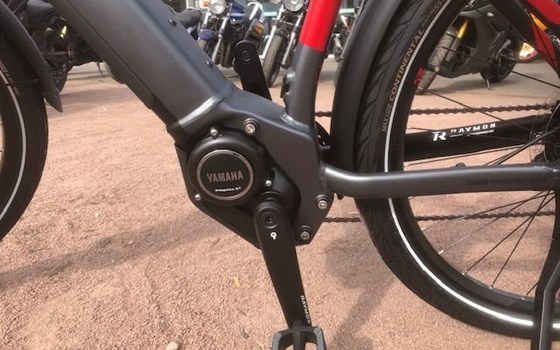 Neufahrzeug Raymon TourRay E - Bild 10