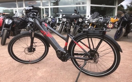 Neufahrzeug Raymon TourRay E - Bild 4