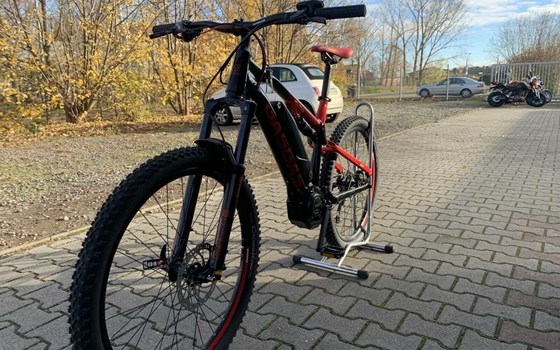 Neufahrzeug GASGAS TrailEnduro Cross 5.0 - Bild 6