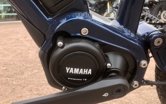 Neufahrzeug Raymon CrossRay E FS - Bild 8