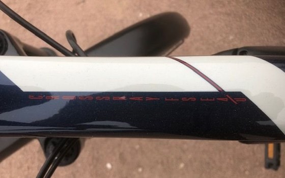 Neufahrzeug Raymon CrossRay E FS - Bild 9