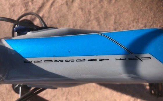 Neufahrzeug Raymon CrossRay E - Bild 10