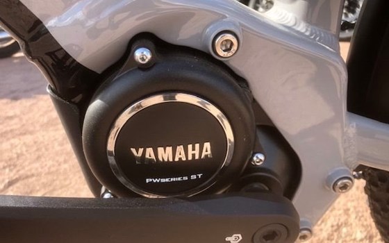 Neufahrzeug Raymon CrossRay E - Bild 11