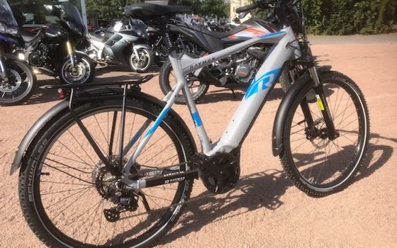 Neufahrzeug Raymon CrossRay E - Bild 3