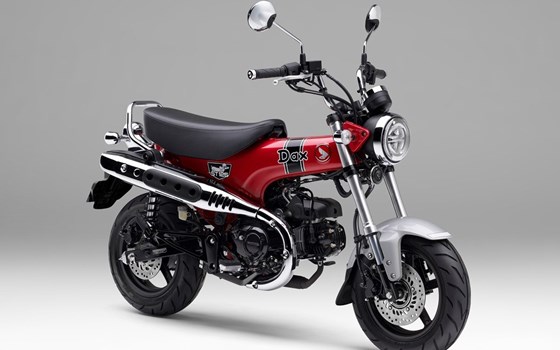 Gebrauchtmotorrad Honda Dax 125 - Bild 2