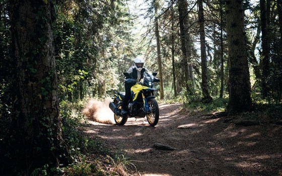 Neufahrzeug Suzuki V-Strom 800DE - Bild 5 Neufahrzeug Suzuki V-Strom 800DE - Bild 5