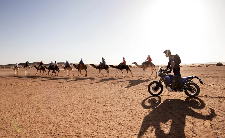 Angebot Yamaha Tenere 700 World Raid Bild 14: Angebot Yamaha Tenere 700 World Raid