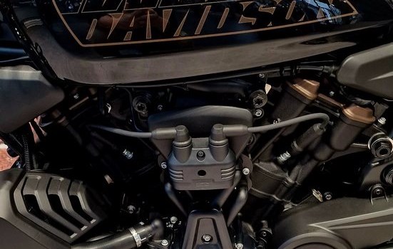 Gebrauchtmotorrad Harley-Davidson Sportster S RH1250S - Bild 9