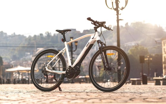 Neufahrzeug Yamaha CrossCore RC - Bild 9