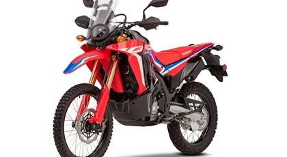 Neumotorrad Honda CRF300 Rally