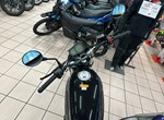 Angebot Benelli Leoncino 500 Trail