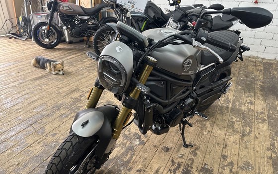 Neufahrzeug Benelli Leoncino 800 - Bild 10