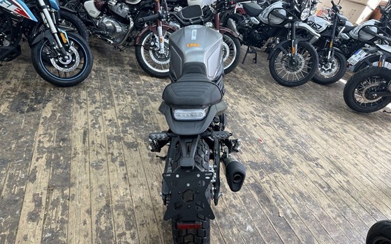 Neufahrzeug Benelli Leoncino 800 - Bild 4