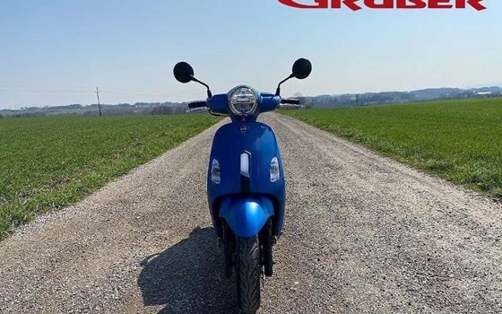 Neufahrzeug Sym Fiddle II 125 - Bild 2 Neufahrzeug Sym Fiddle II 125 - Bild 2