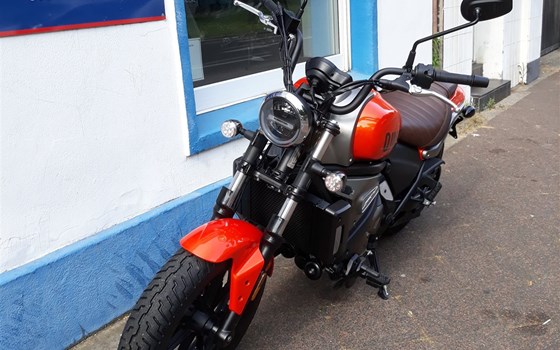 Gebrauchtmotorrad QJ Motor SRV 550 - Bild 7