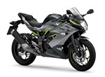 Angebot Kawasaki Ninja 125