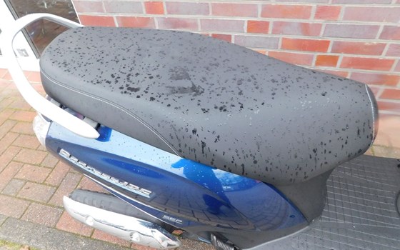 Neufahrzeug Suzuki Address 125 - Bild 14