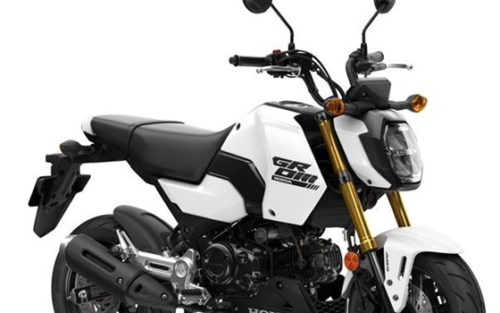 Gebrauchtmotorrad Honda MSX125 Grom - Bild 10