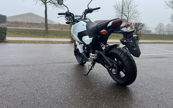 Gebrauchtmotorrad Honda MSX125 Grom - Bild 5