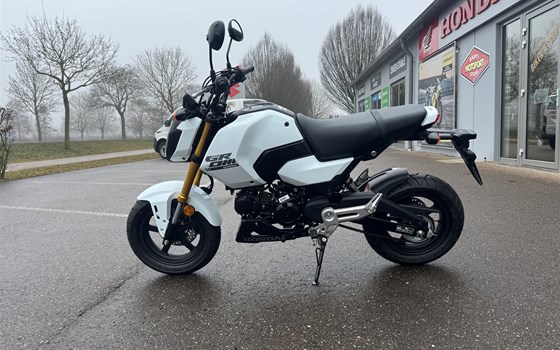 Gebrauchtmotorrad Honda MSX125 Grom - Bild 6