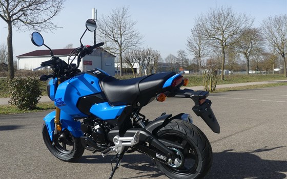 Gebrauchtmotorrad Honda MSX125 Grom - Bild 6