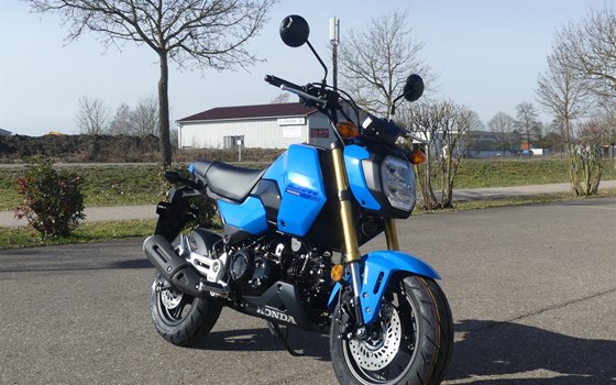 Gebrauchtmotorrad Honda MSX125 Grom - Bild 2