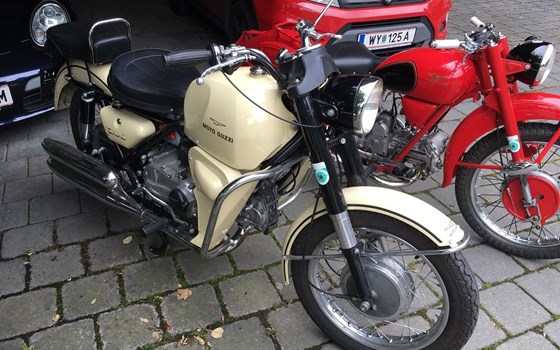 Gebrauchtmotorrad Moto Guzzi Nuovo Falcone - Bild 4