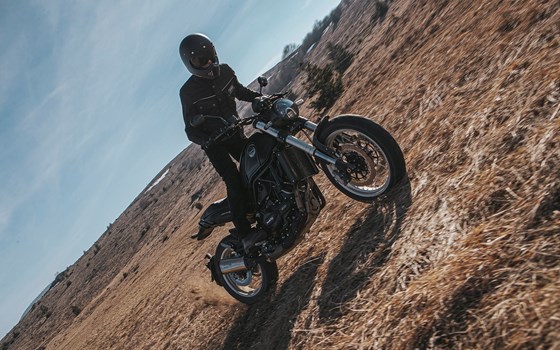 Neufahrzeug Benelli Leoncino 500 Trail - Bild 6